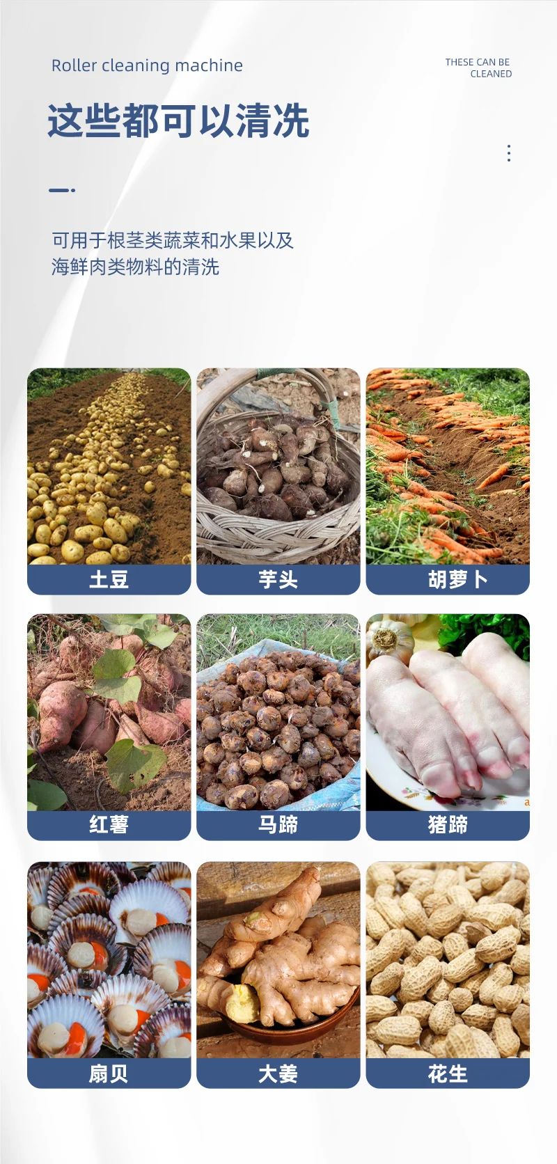 毛辊清洗机_03