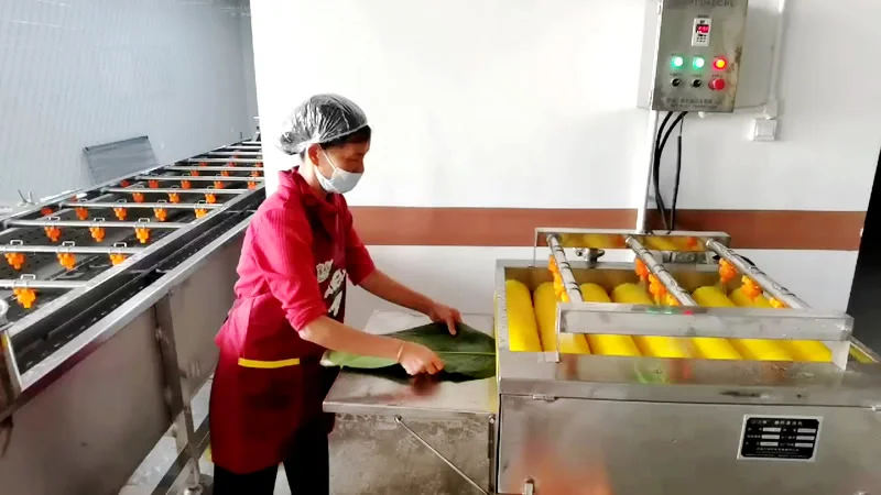 粽叶清洗机2 粽叶清洗机2